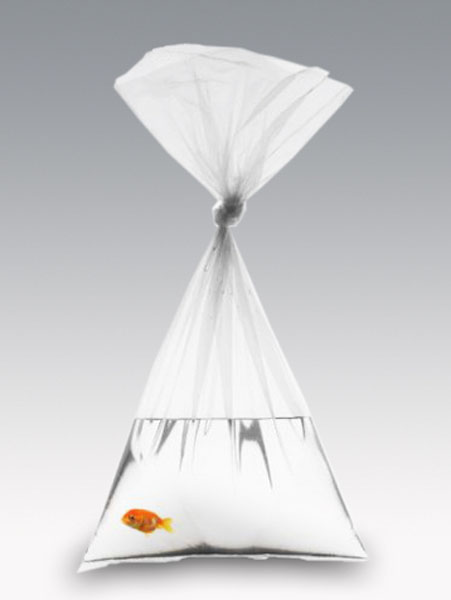 Carrying this fish to your fish tank was never this easy..All thanks to the Foilex Carrier bag..