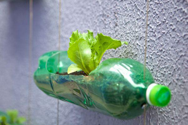 Recycle Plastic Cups Into Plants