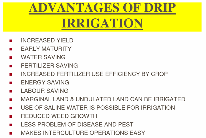 Why shifting to drip irrigation is beneficial ..