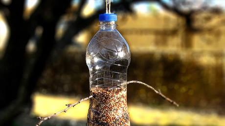 Feed the birds -

Take an empty water bottle, cut holes in the side, poke sticks through, fill it with seeds and hang it from a tree/window. Before you know it, birds (the feathery kind) will quite literally be flocking to your place.