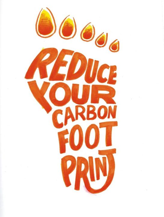 Ways to Reduce Your Carbon Footprint

1. Change Your Lightbulbs
2. Unplug Your Gadgets
3. Take Public Transit or Carpool
4. Choose a Laptop Over a Desktop
5. Filter Your Own Water
6. Adjust Your Curtains and Thermostat
7. Buy Local Food
8. Plant a Tree
9. Print or Digital, Be Mindful Reading the News
10. Chose Energy-Efficient Kitchen Appliances