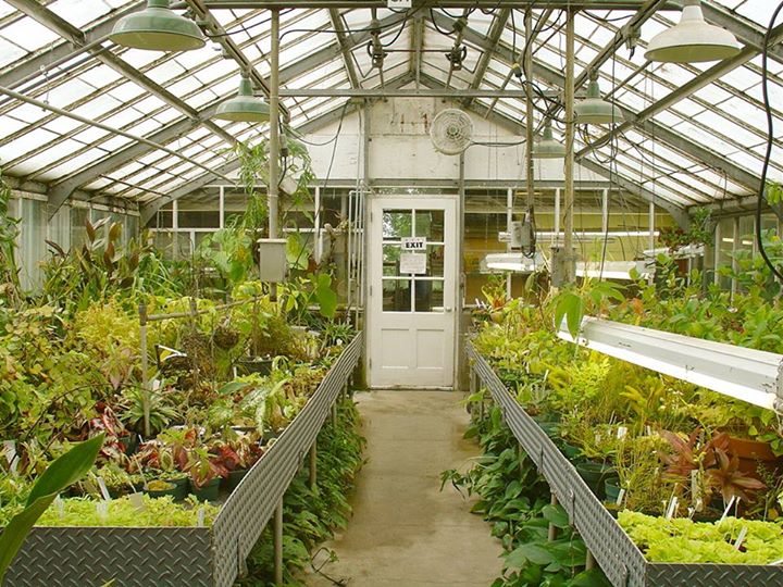 Have you ever been to a #GreenHouse!