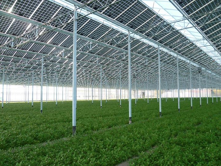 #Didyouknow - 

A greenhouse consists of a frame made of wood, metal or plastic that is covered with a transparent or translucent material to allow in light. The walls might be opaque. A fan is usually included to increase air circulation and keep temperatures even.

#Greenhouse