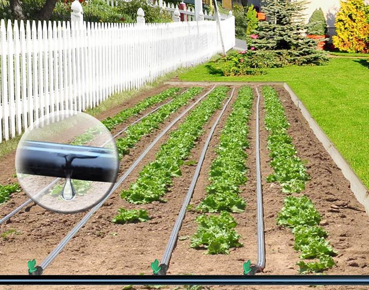 Looking for a way to preserve both water and time? Try setting up a drip irrigation system.
 
#Multifoil #RajooEngineers