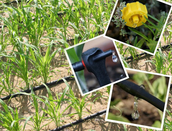 A drip irrigation system delivers water directly to the root zone of a plant, where it seeps slowly into the soil one drop at a time. Almost no water is lost through surface runoff or evaporation, and soil particles have plenty of opportunity to absorb and hold water for plants

#Multifoil #RajooEngineers