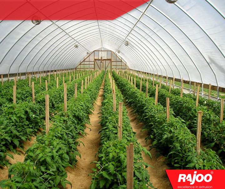 #Didyouknow - 

A greenhouse consists of a frame made of wood, metal or plastic that is covered with a transparent or translucent material to allow in light. The walls might be opaque. A fan is usually included to increase air circulation and keep temperatures even.

#Greenhouse