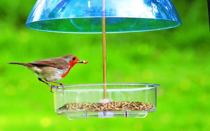 A small step towards a better society.. Make a #BirdFeeder today!