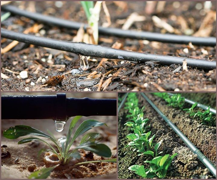 Advantages of #DripIrrigation

1. Water is used at maximum level.
2. Yield of crops is maximum.
3. Fertilizers can be used with high efficiency.
4. Operational cost is low.
