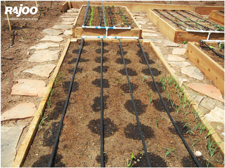 #Dripirrigation, also known as trickle irrigation or micro irrigation or localized irrigation, is an irrigation method that saves water and fertilizer by allowing water to drip slowly to the roots of plants, either onto the soil surface or directly onto the root zone, through a network of valves, pipes, tubing, and emitters. 

It is done through narrow tubes that deliver water directly to the base of the plant.

#RajooEngineers #Dripex #Rajkot