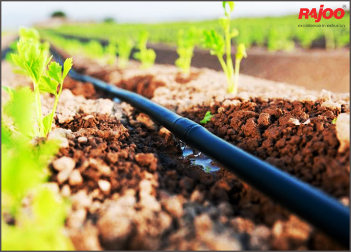 Drip irrigation is a highly efficient way to water, so it saves you time and helps to conserve precious supplies of clean water.

#DripIrrigation #Benefits #RajooEngineers