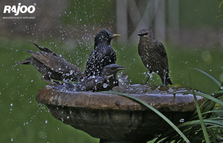 Did you know wild creatures can survive for a time without food, but they need water much more frequently than humans!

This summer keep a bowl of water in your balcony or outside your house to let them quench their thirst.

#SocialCause #DoItYourself #Water #SummerHeat