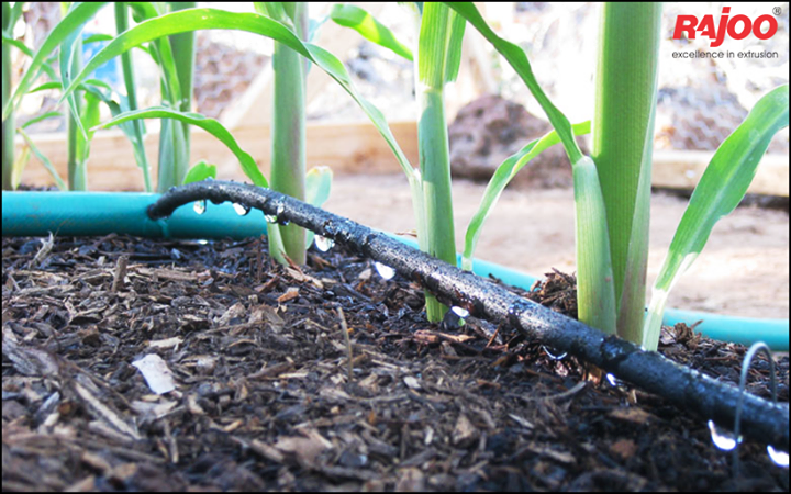 Drip irrigation is a low-pressure, low-volume watering system that delivers water to home landscapes in a variety of methods, including dripping, spraying and streams.

#DripIrrigation #RajooEngineers #Rajkot