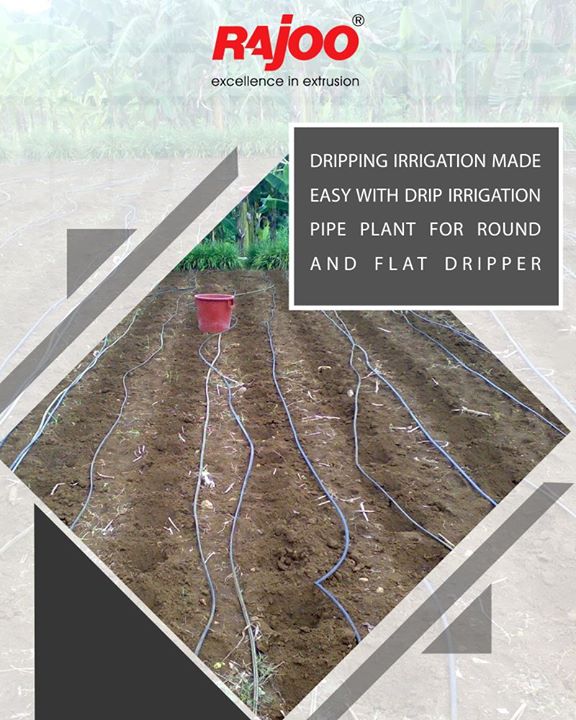 Solution to water scarcity, dripping irrigation proves as a boon for agriculture.

#DripIrrigation #SaveWater #RajooEngineers #Rajkot #PlasticMachinery #Machines #PlasticIndustry