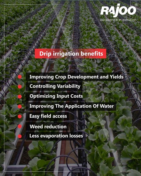 The hallmark of drip irrigation is the system’s ability to efficiently water plants because of controlled delivery of water directly to the ground. Drip irrigation systems consist of tubing through which water travels from its source to drip emitters

#RajooEngineers #Rajkot #PlasticMachinery #Machines #PlasticIndustry