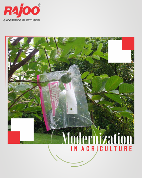 Innovations for Agricultural Modernization!

#RajooEngineers #Rajkot #PlasticMachinery #Machines #PlasticIndustry