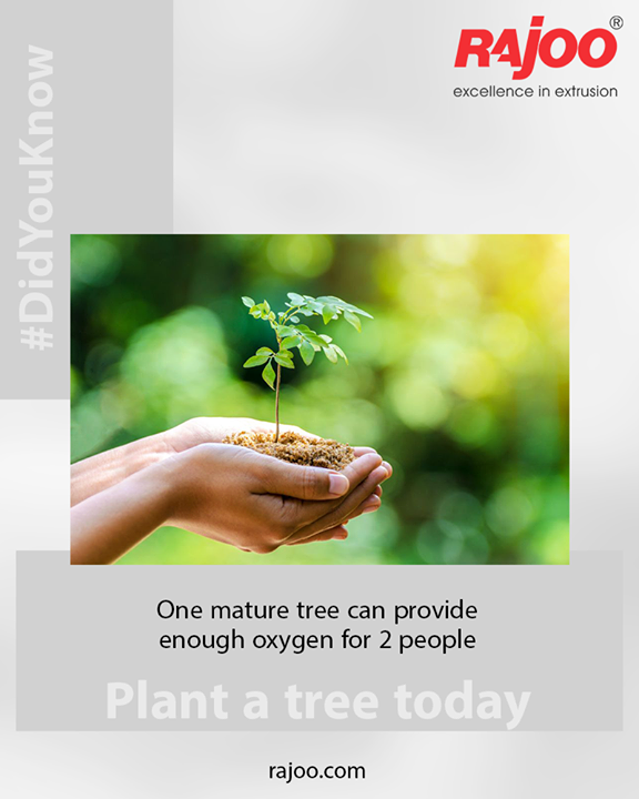 Go green and plant a tree!

#GoGreen #PlantATree #RajooEngineers #Rajkot #Plastics #PlasticMachinery #Machines #PlasticIndustry