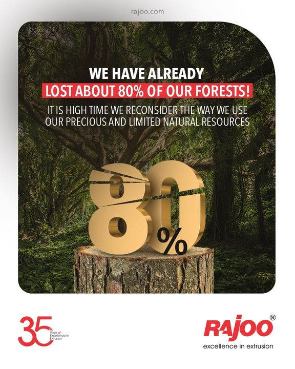 We have already lost about 80% of our forests!
It is high time we reconsider the way we use our precious and limited natural resources

#WorldEnvironmentDay #EnvironmentDay #EnvironmentDay2021 #SaveEnvironment #WorldEnvironmentDay2021 #GenerationRestoration #RajooEngineers #Rajkot #PlasticMachinery #Machines #PlasticIndustry