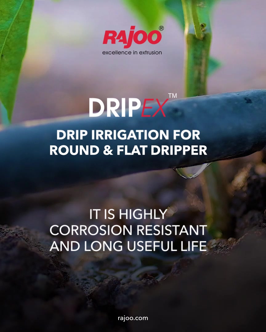 DripEX has a variety of other features and functionalities that makes it exceptional. It has a promising feature of being highly corrosion resistant and long useful life. 
For more information,
Visit our website
https://www.rajoo.com/dripex.html
.
.
.
#RajooEngineers #Rajkot #PlasticMachinery #Machines #PlasticIndustry