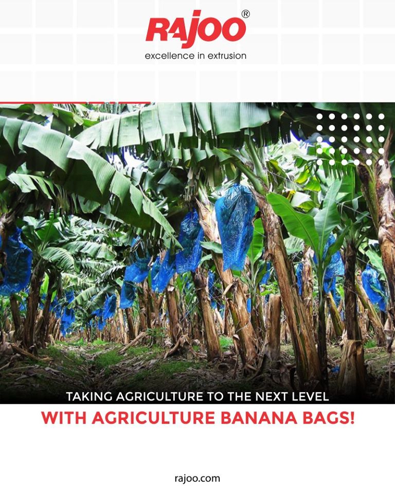 Taking #agriculture to the next level with agriculture Banana Bags!

#Multifoil #RajooEngineers #ManyUsesofPlastics #Rajkot #PlasticMachinery #Machines #PlasticIndustry https://t.co/Y1C5EKVKvv